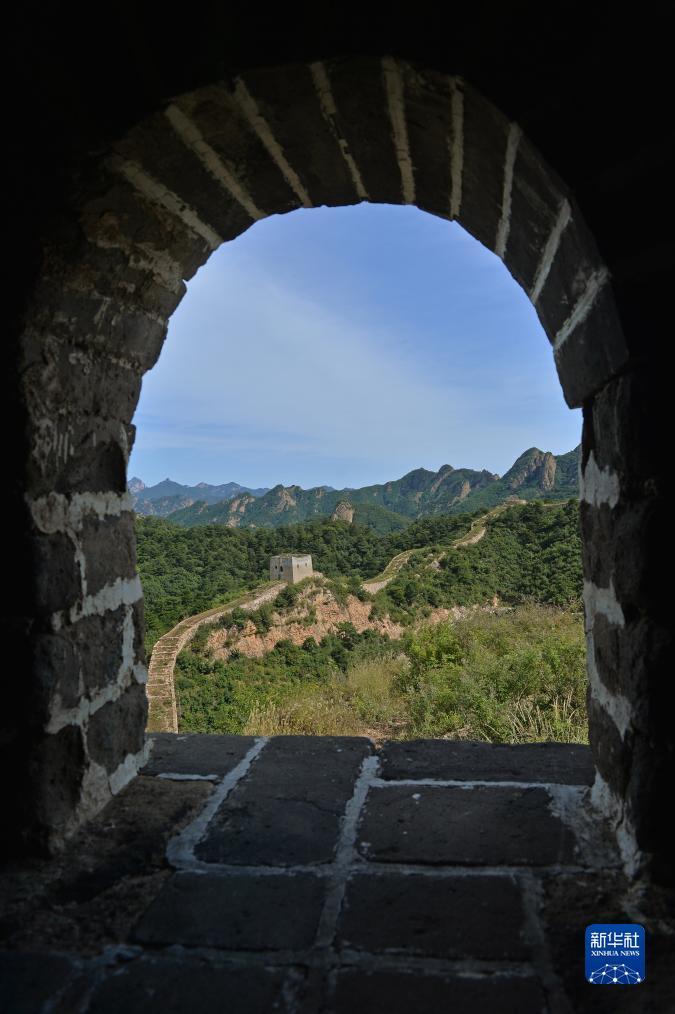 澳门普京